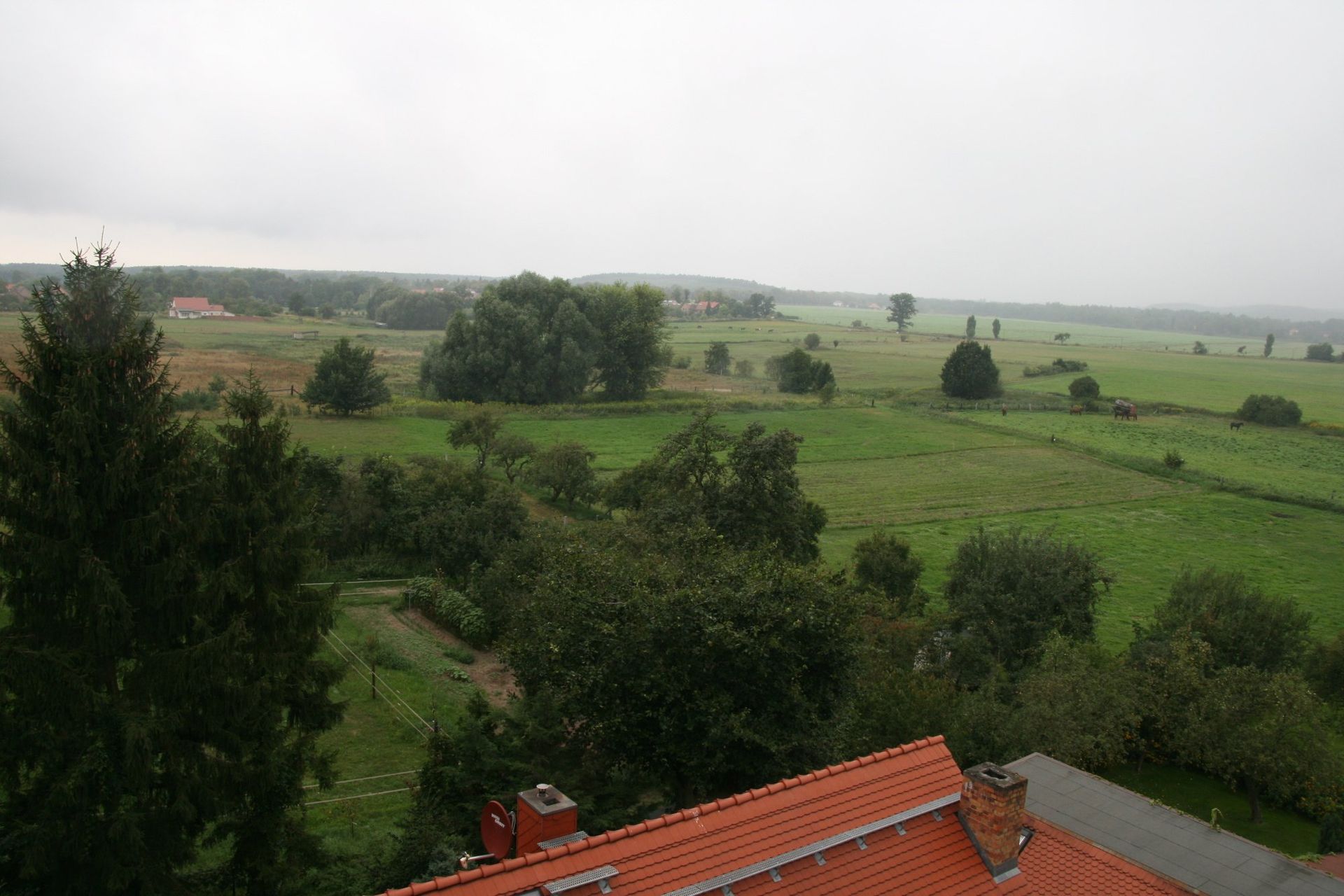 Eine Luftaufnahme einer üppig grünen Wiese mit Bäumen und einem roten Dach.