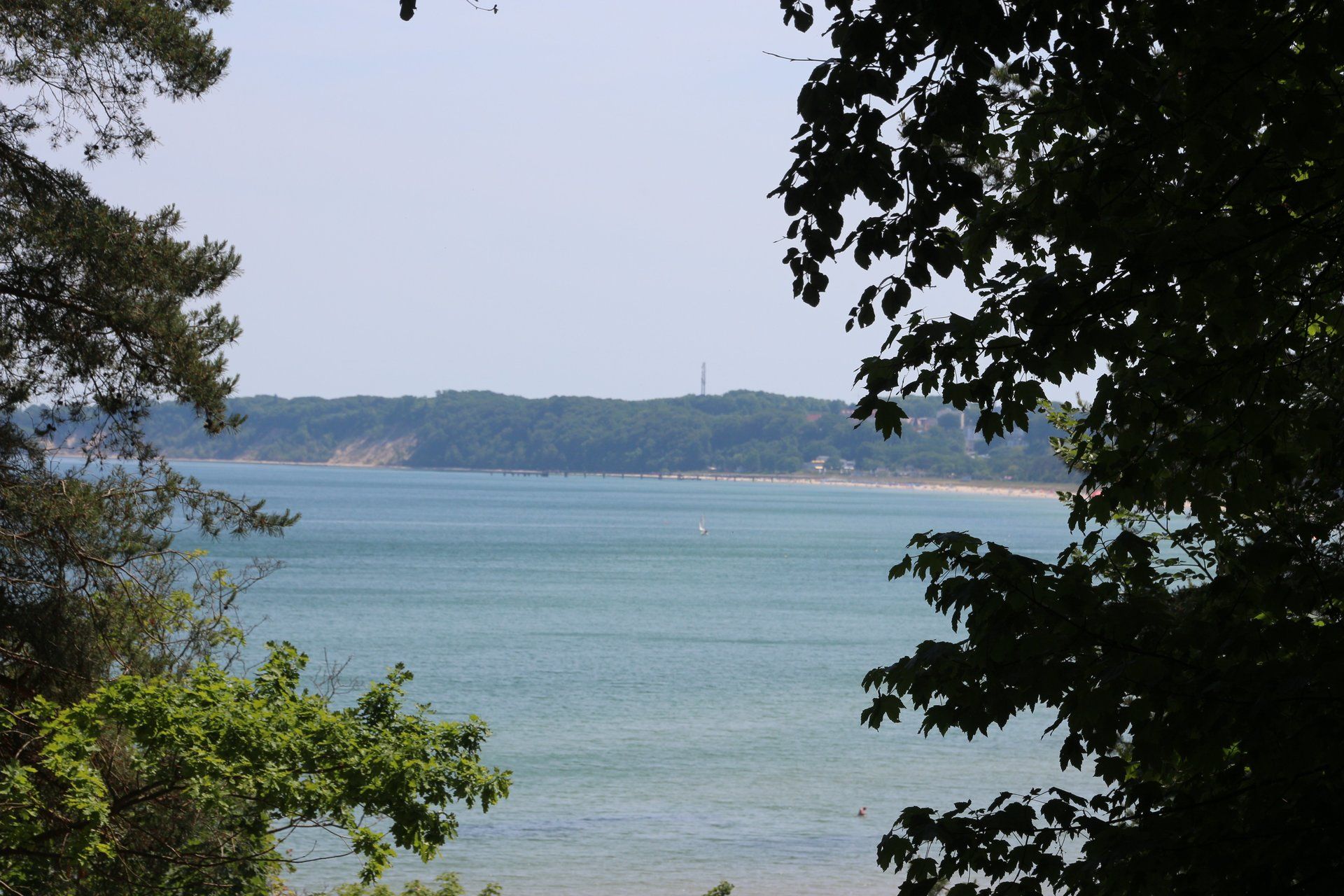 Ein Blick auf das Meer durch Bäume an einem sonnigen Tag