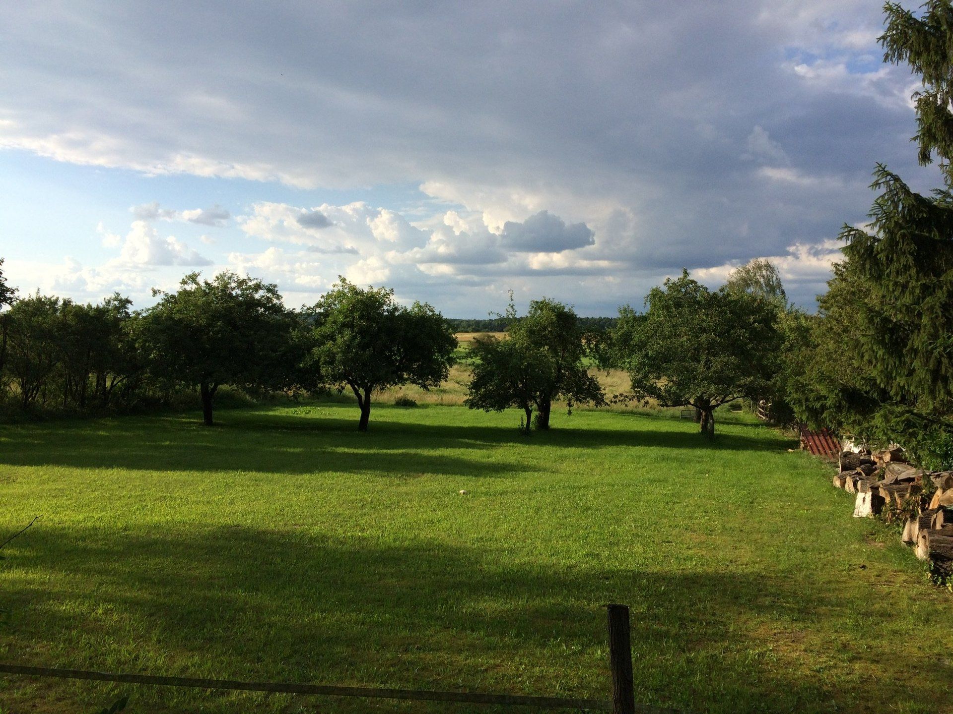 Eine große Wiese mit Bäumen im Hintergrund und einem Zaun im Vordergrund.