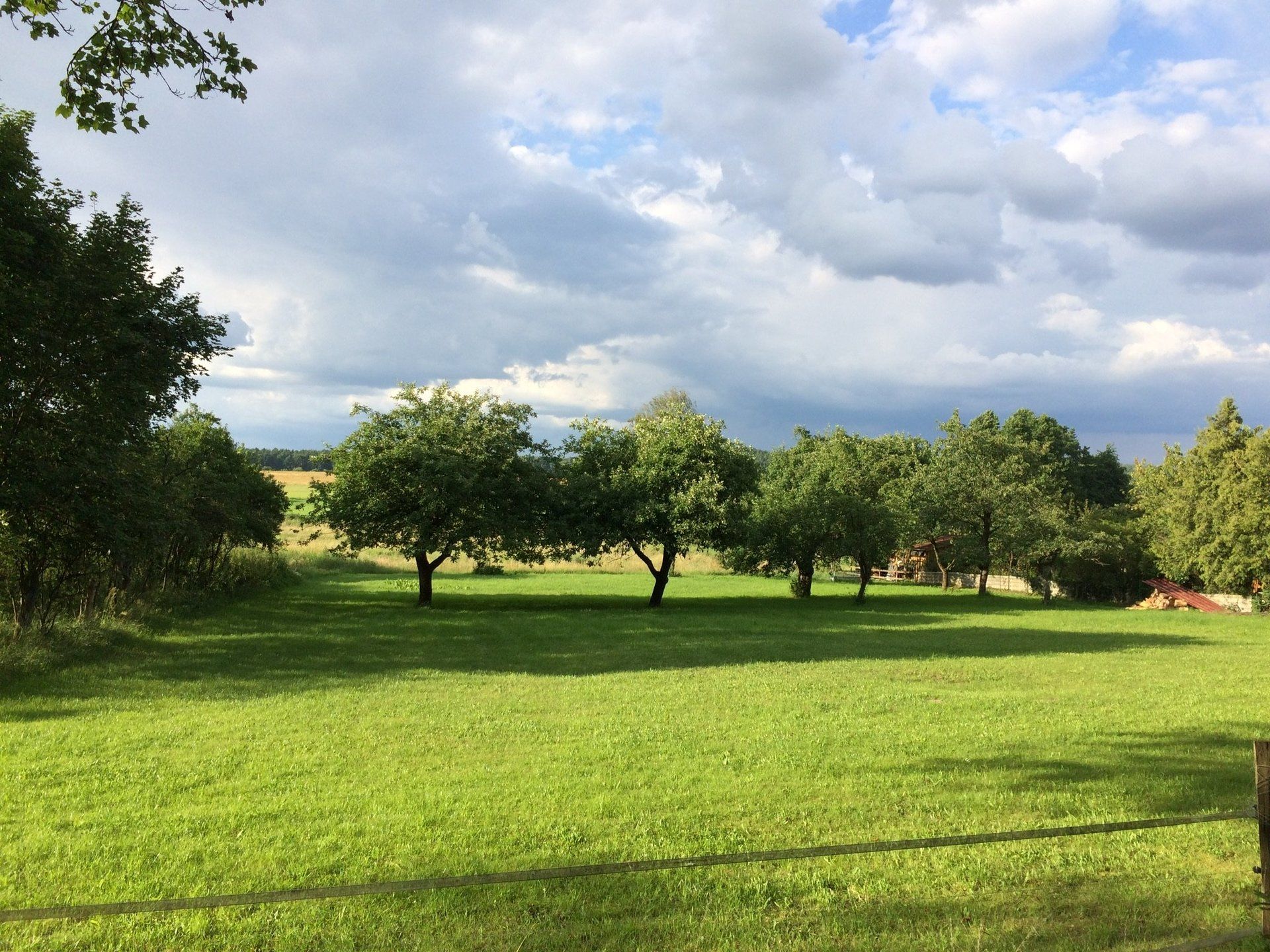 Ein üppiges grünes Feld mit Bäumen und einem bewölkten Himmel