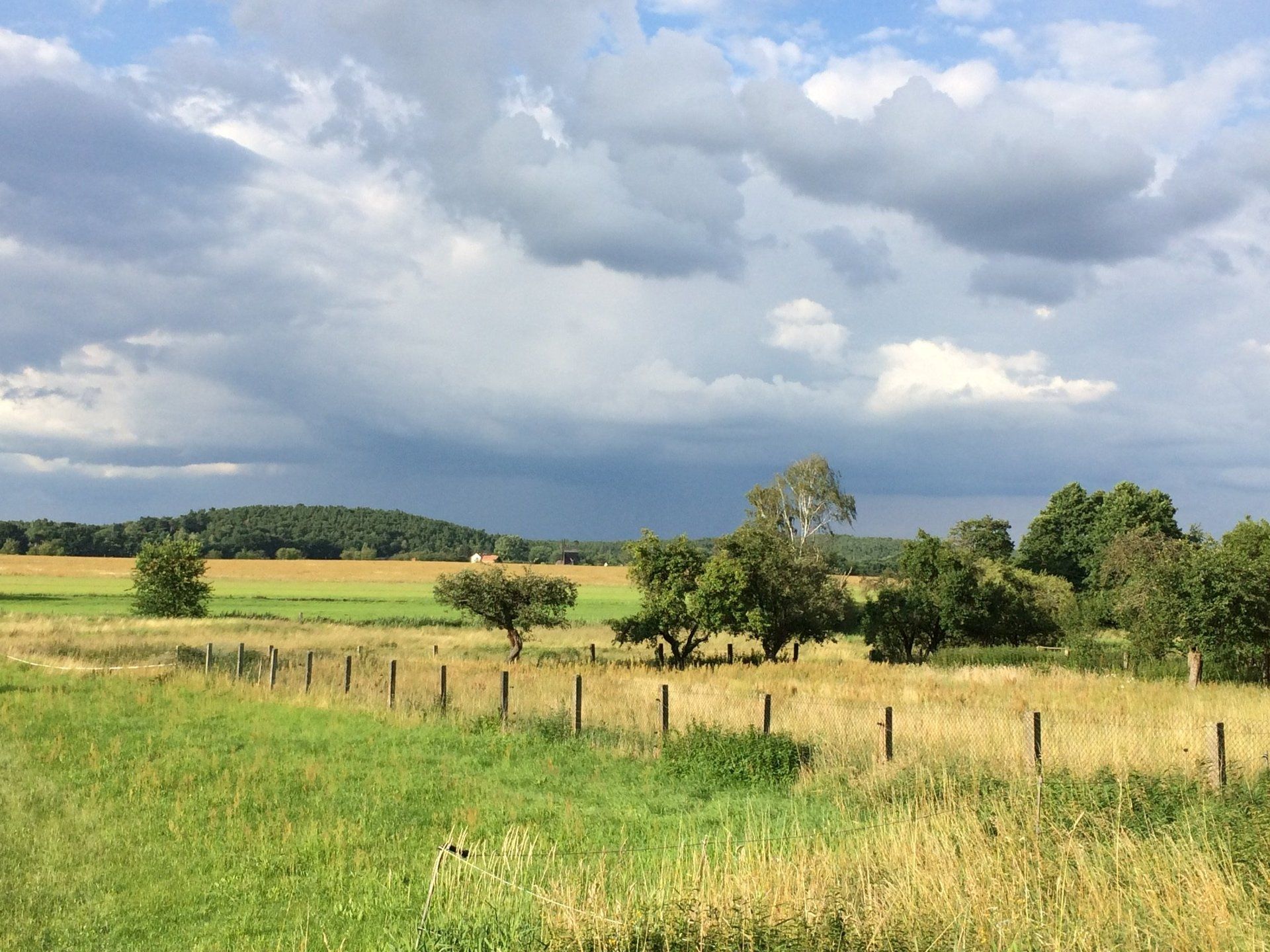 Ein Feld mit einem Zaun im Vordergrund und einem bewölkten Himmel im Hintergrund