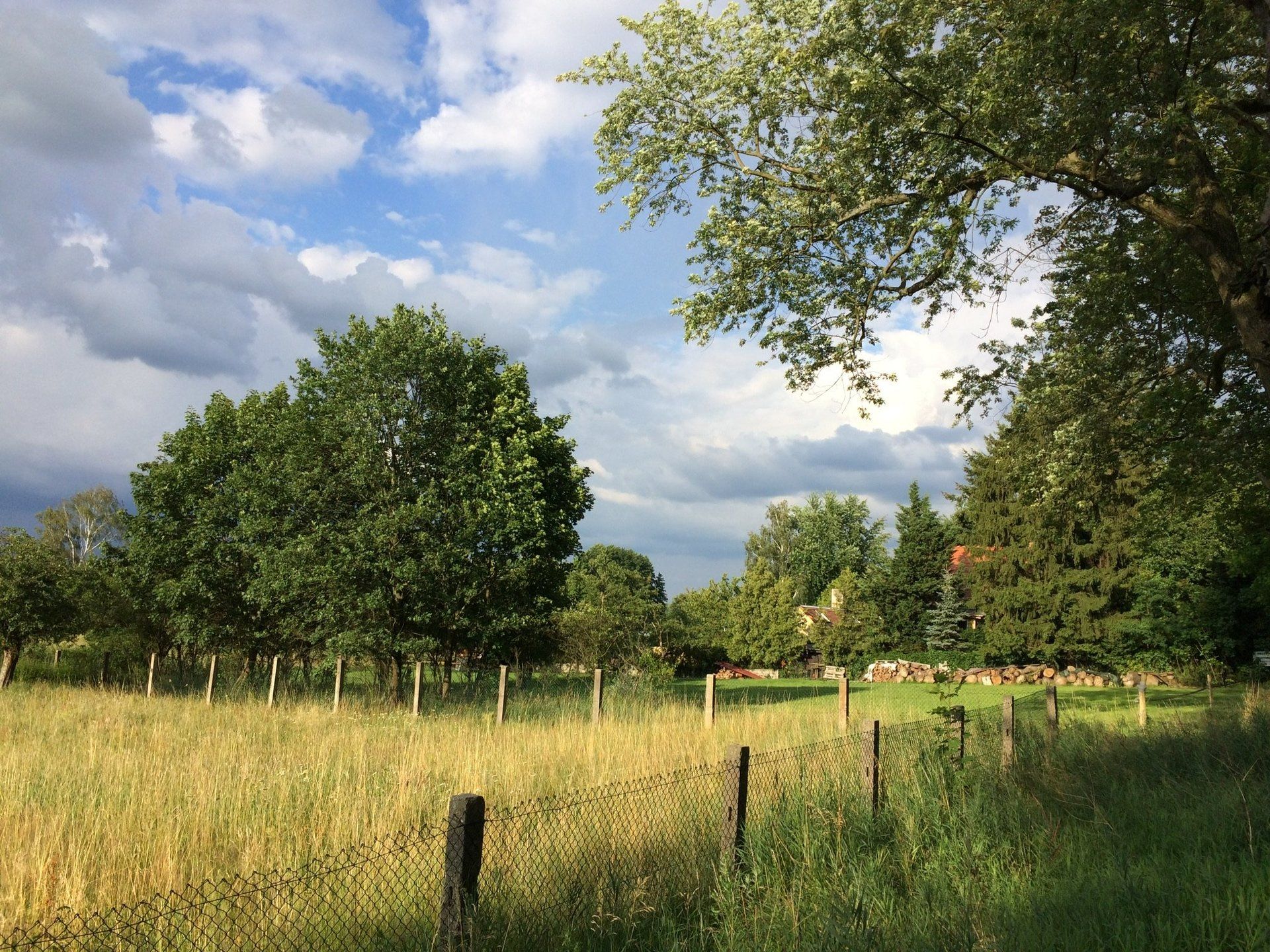 Ein Feld mit einem Zaun und Bäumen im Hintergrund