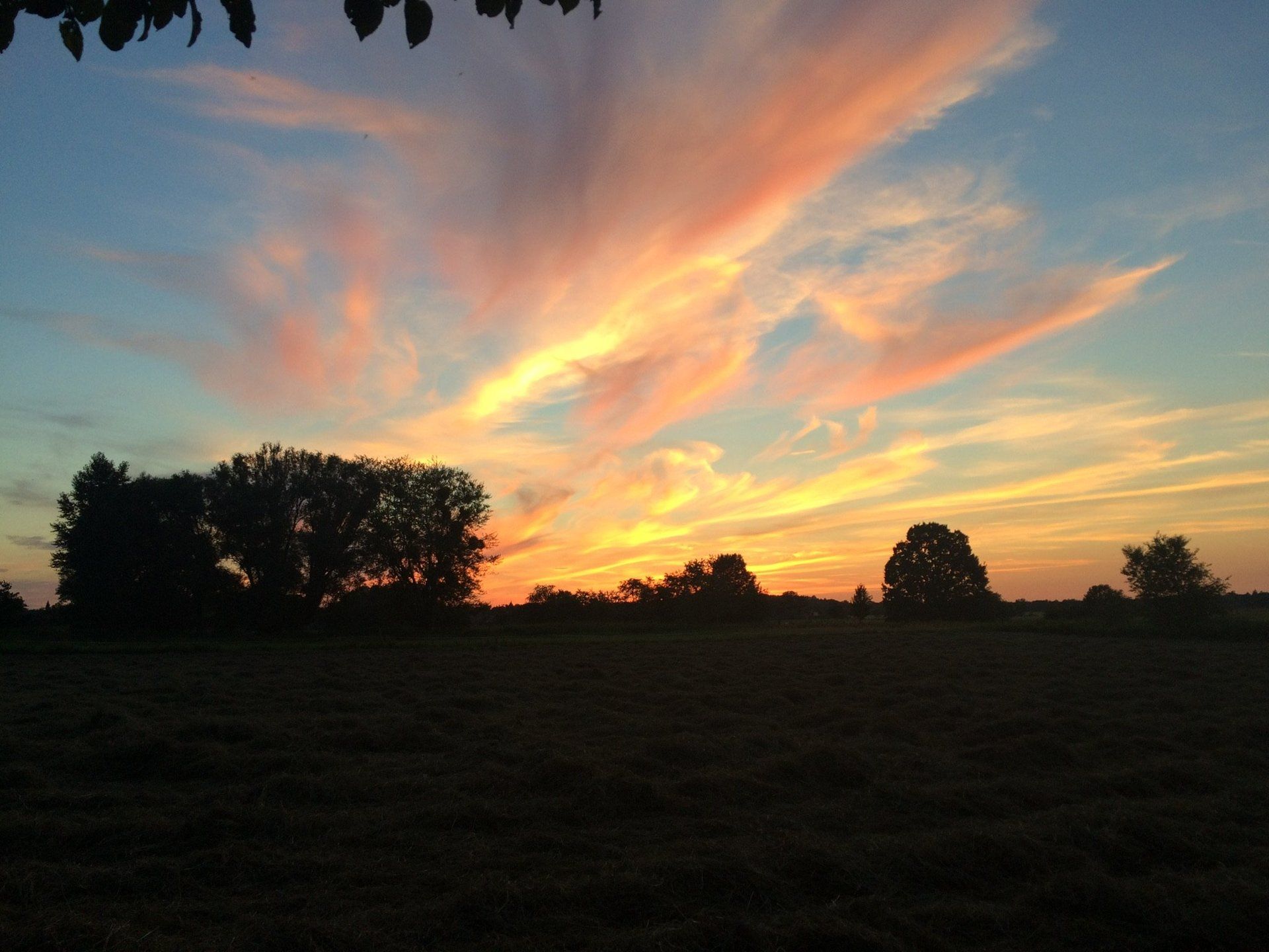 Ein Sonnenuntergang über einem Feld mit Bäumen im Vordergrund