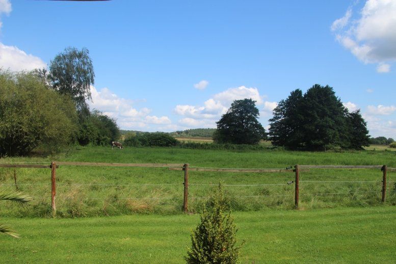 Ein Zaun umgibt eine Wiese mit Bäumen im Hintergrund