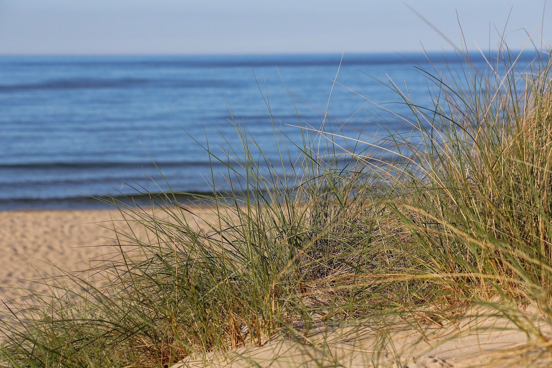 Eine Nahaufnahme einer Sanddüne an einem Strand mit dem Meer im Hintergrund.