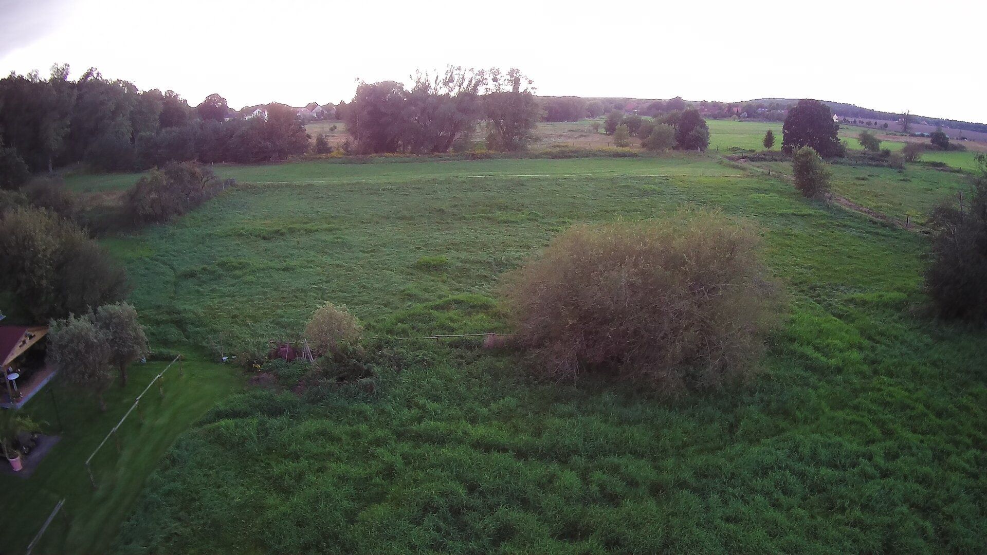 Eine Luftaufnahme eines üppigen grünen Feldes mit Bäumen und einem Haus im Hintergrund.