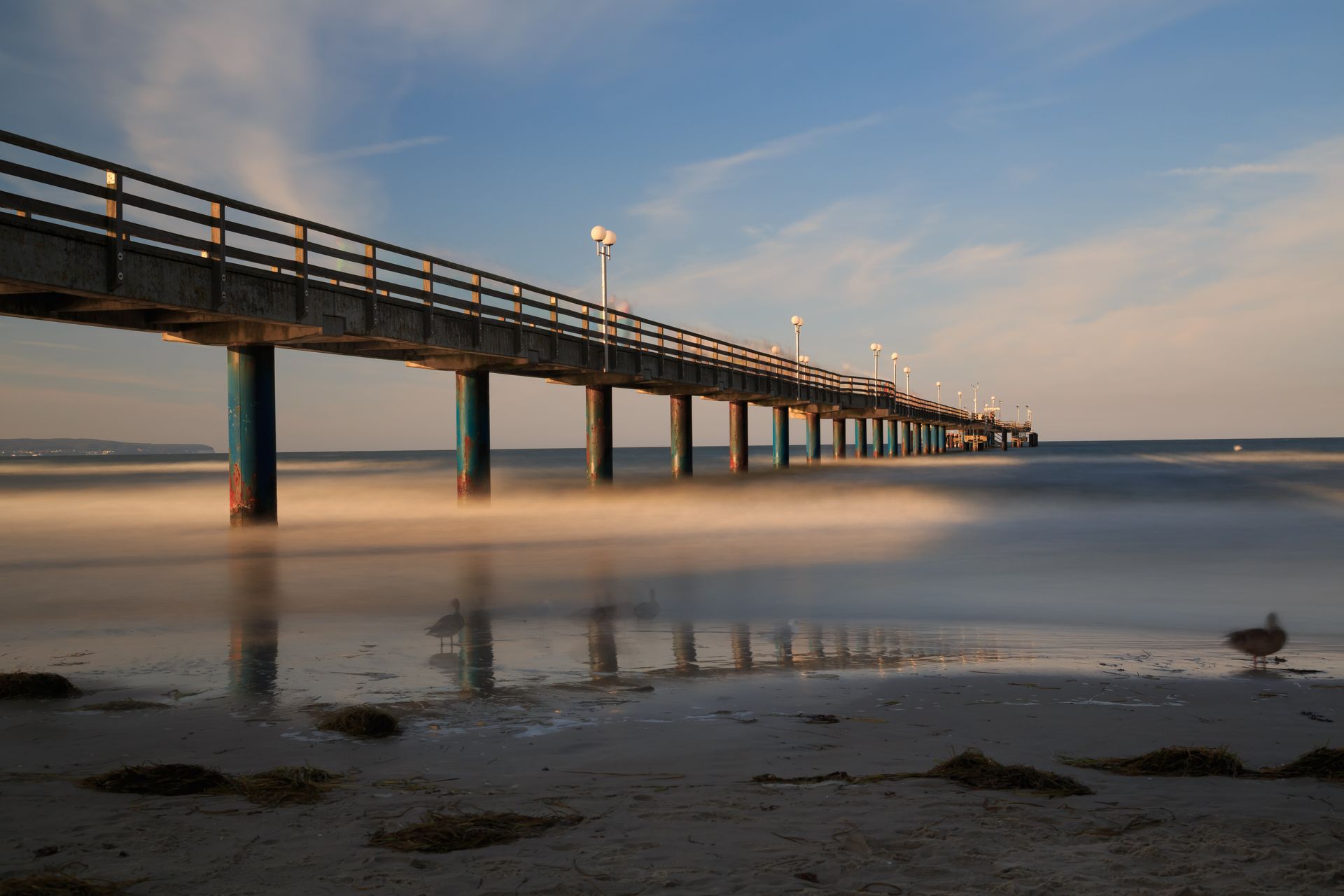 Ein Pier, der ins Meer führt, mit einem Vogel am Strand im Vordergrund.