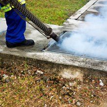 Fumigation services