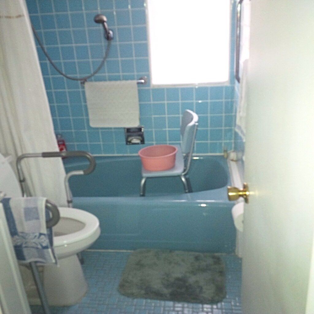 Bathesafe Remodeling before