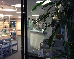 Verdugo Optical