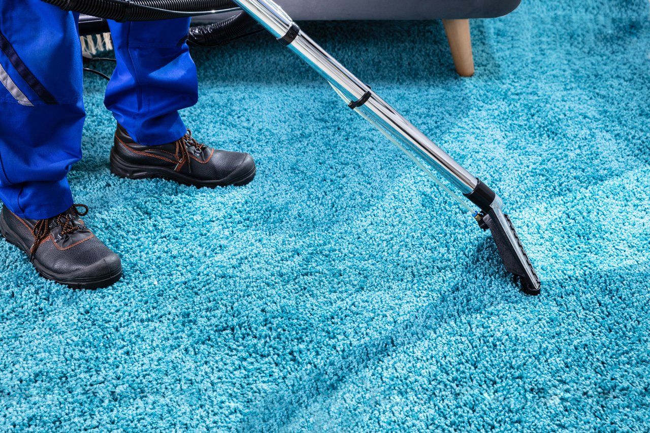 Blue Carpet Cleaning — Savannah, GA — Treat Your Feet Carpet Cleaners Inc