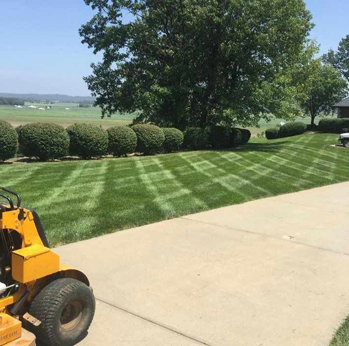A well-manicured lawn with a striped pattern, bushes, and a yellow lawnmower on a sunny day.