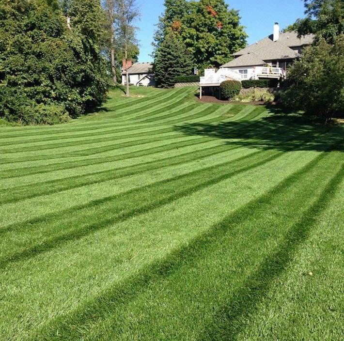 Lawn with diagonal stripes of varying shades of green, near a house with a deck on a sunny day.