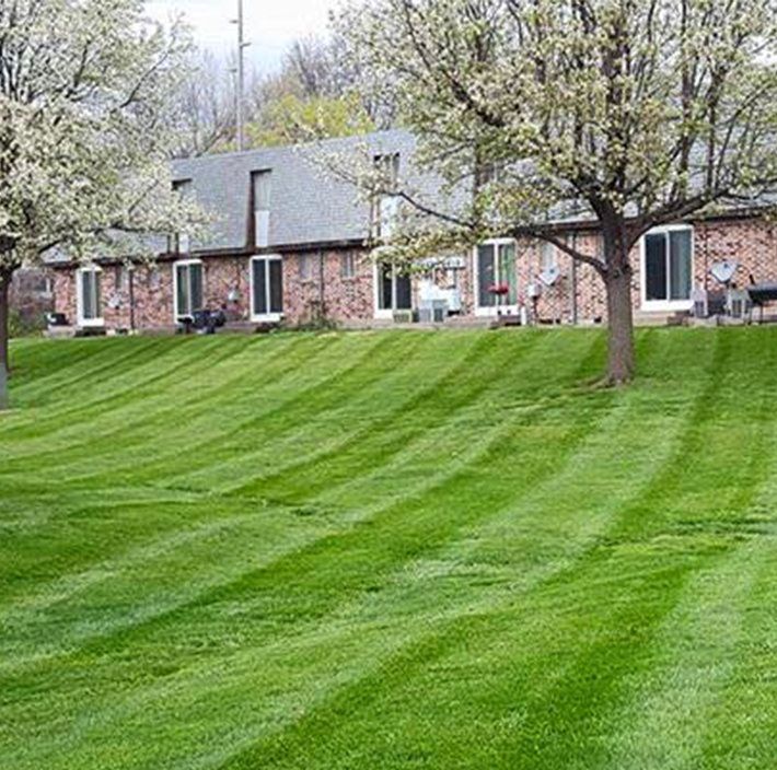 Lawn mowed with stripes, fronting a brick building with white doors and trees in bloom.
