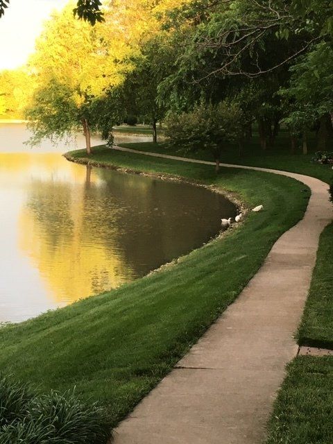 A winding concrete path next to a lake with lush green grass and trees reflecting the golden sunlight.
