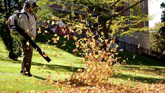 Person using a leaf blower to move autumn leaves on a grassy lawn in front of a building.