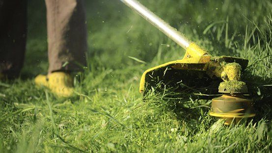 Person using a yellow string trimmer on green grass.