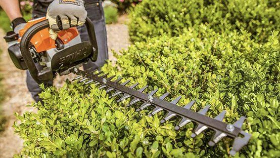 Person using a hedge trimmer to trim a green bush outdoors.