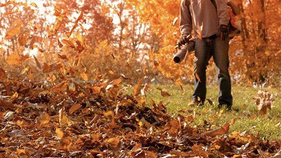 Person using a leaf blower, blowing orange leaves into a pile. Setting is a grassy area with trees.