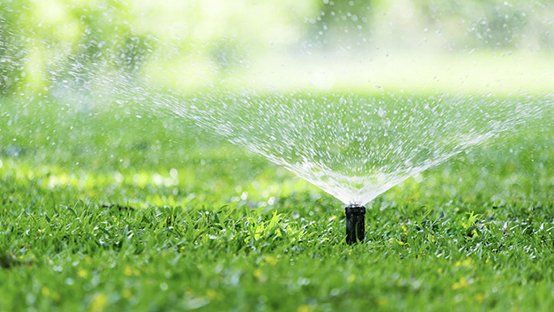 Sprinkler spraying water onto a green lawn on a sunny day.