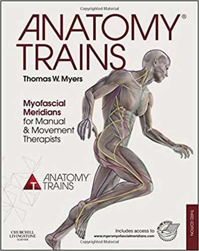 Anatomy trains myofascial meridians for manual and movement therapists