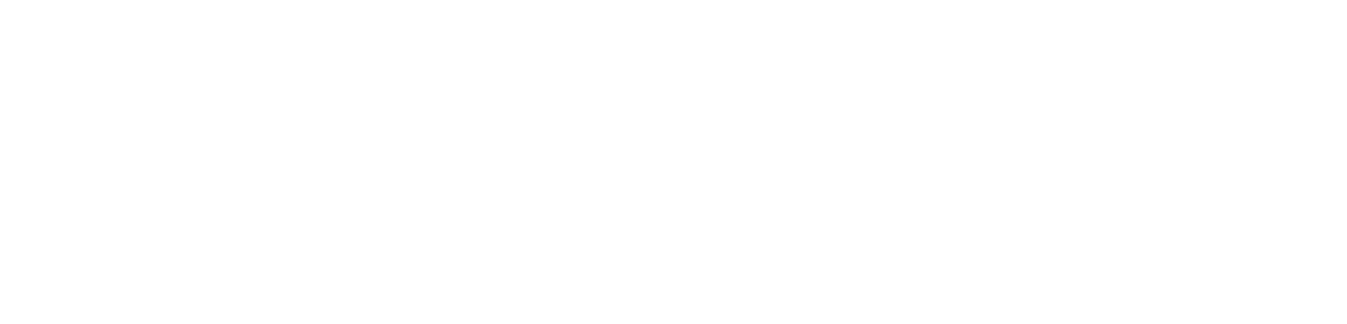 Premier Property Management and Leasing Logo