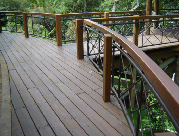 Pasarela de madera con barandillas que serpentea a través de la frondosa vegetación del bosque.