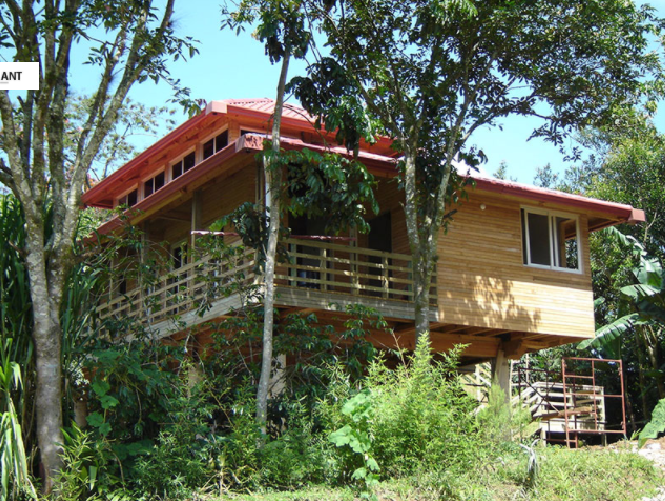 Casa de madera en un árbol con techo rojo entre árboles y vegetación en un entorno tropical.