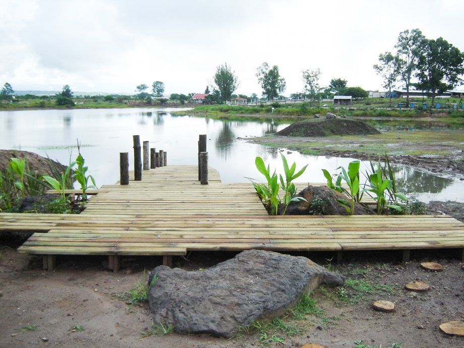 Muelle de madera junto a un estanque tranquilo, con plantas verdes, rocas y un cielo nublado al fondo.