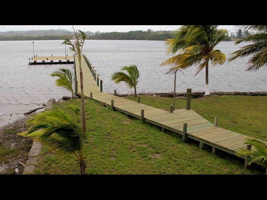 Muelle de madera y pasarela que conduce a un lago, con orilla cubierta de hierba y palmeras en días ventosos.