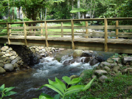 Puente peatonal de madera sobre un arroyo rocoso en un bosque frondoso y verde.
