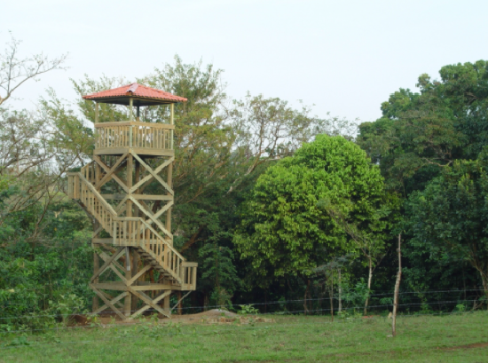 Torre de observación de madera con techo rojo en un claro cubierto de hierba, rodeada de árboles.