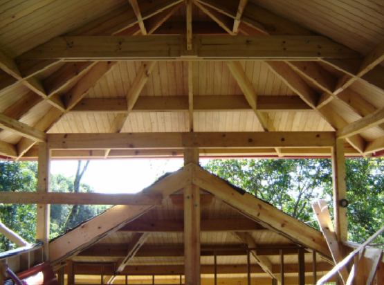 Interior del pabellón con techo de madera, vigas a la vista y vistas despejadas a los árboles del exterior.