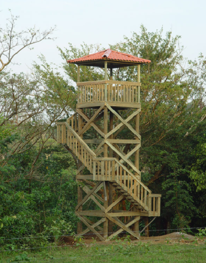 Torre de observación de madera con escaleras y techo rojo en una zona boscosa verde.