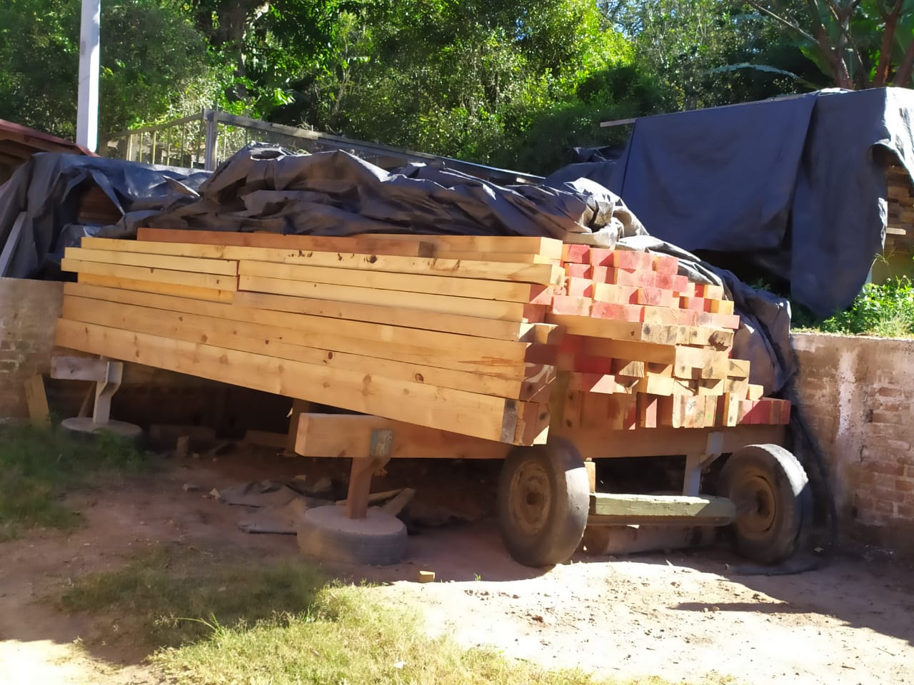 Madera apilada en un pequeño remolque al aire libre, cubierta con lonas y rodeada de árboles.
