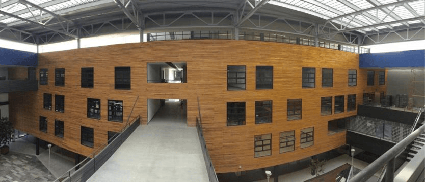 Interior de edificio moderno revestido de paneles de madera con hileras de ventanas bajo una gran estructura de techo arqueada.