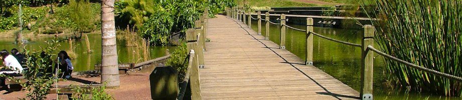 Un puente peatonal de madera cruza una marisma verde con gente descansando a la izquierda y un camino despejado al frente.