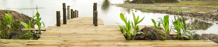 Muelle de madera que conduce a aguas tranquilas, bordeado de plantas verdes y postes oscuros bajo un cielo pálido.