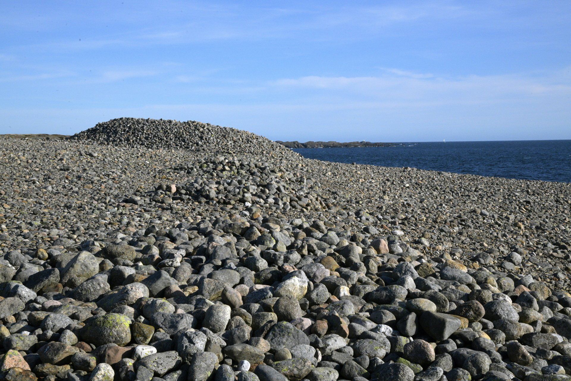 Mølen Biotop