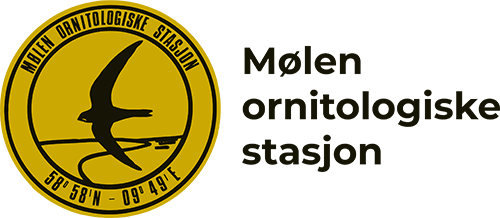 Mølen