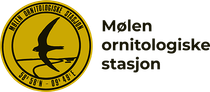 Mølen