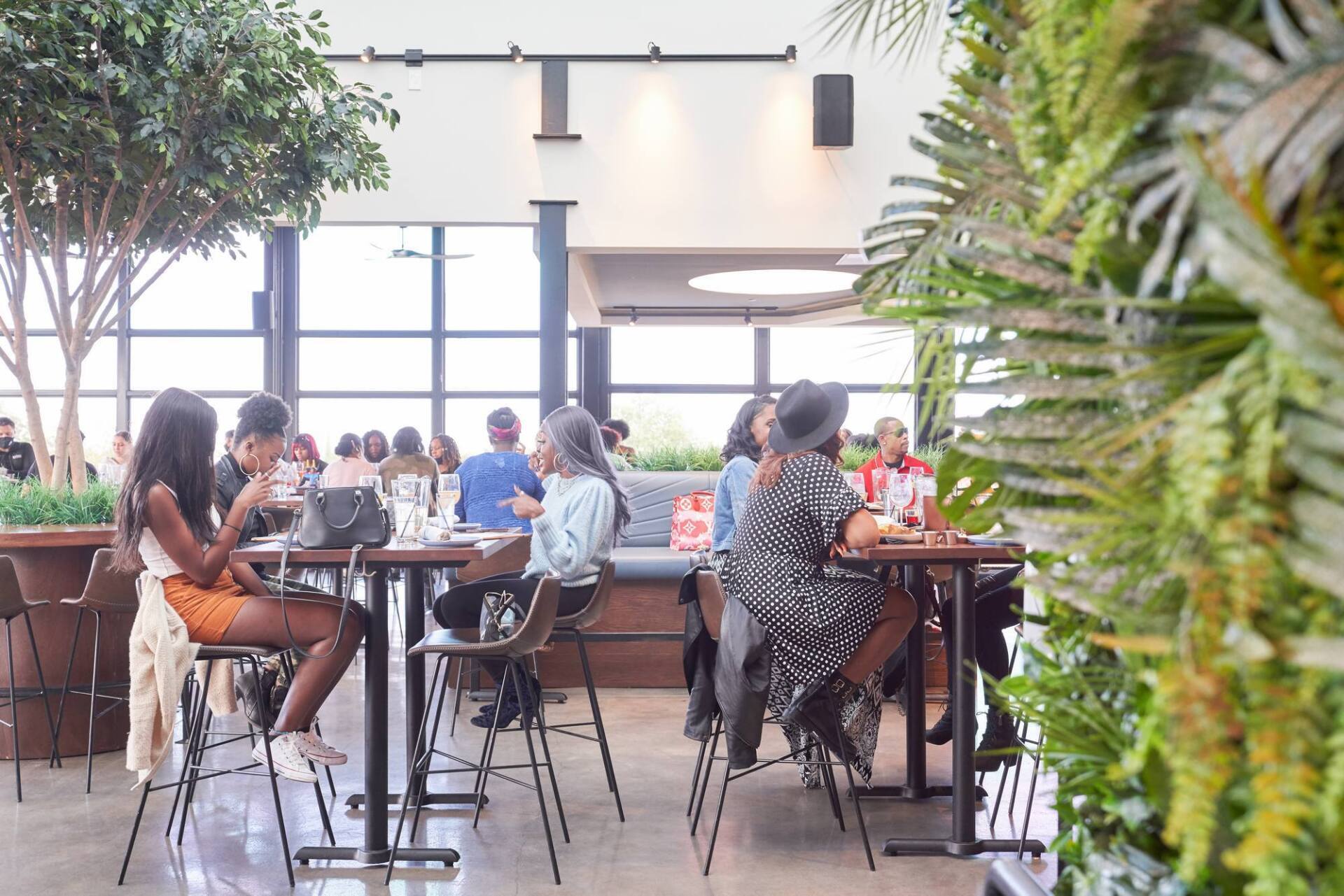 Restaurant interior with patrons at tables, lush green wall, large windows, bright space.