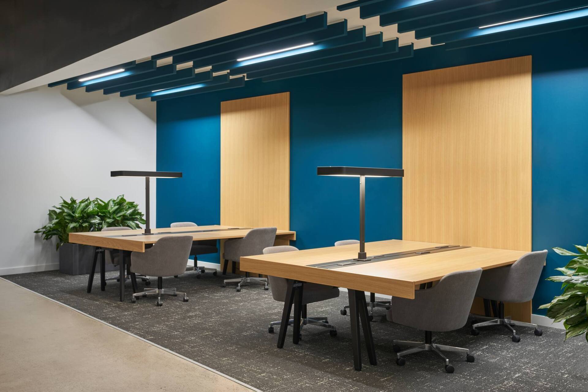 Co-working space with blue wall, wood panels, light-colored desks, gray chairs, overhead lighting, and potted plants.