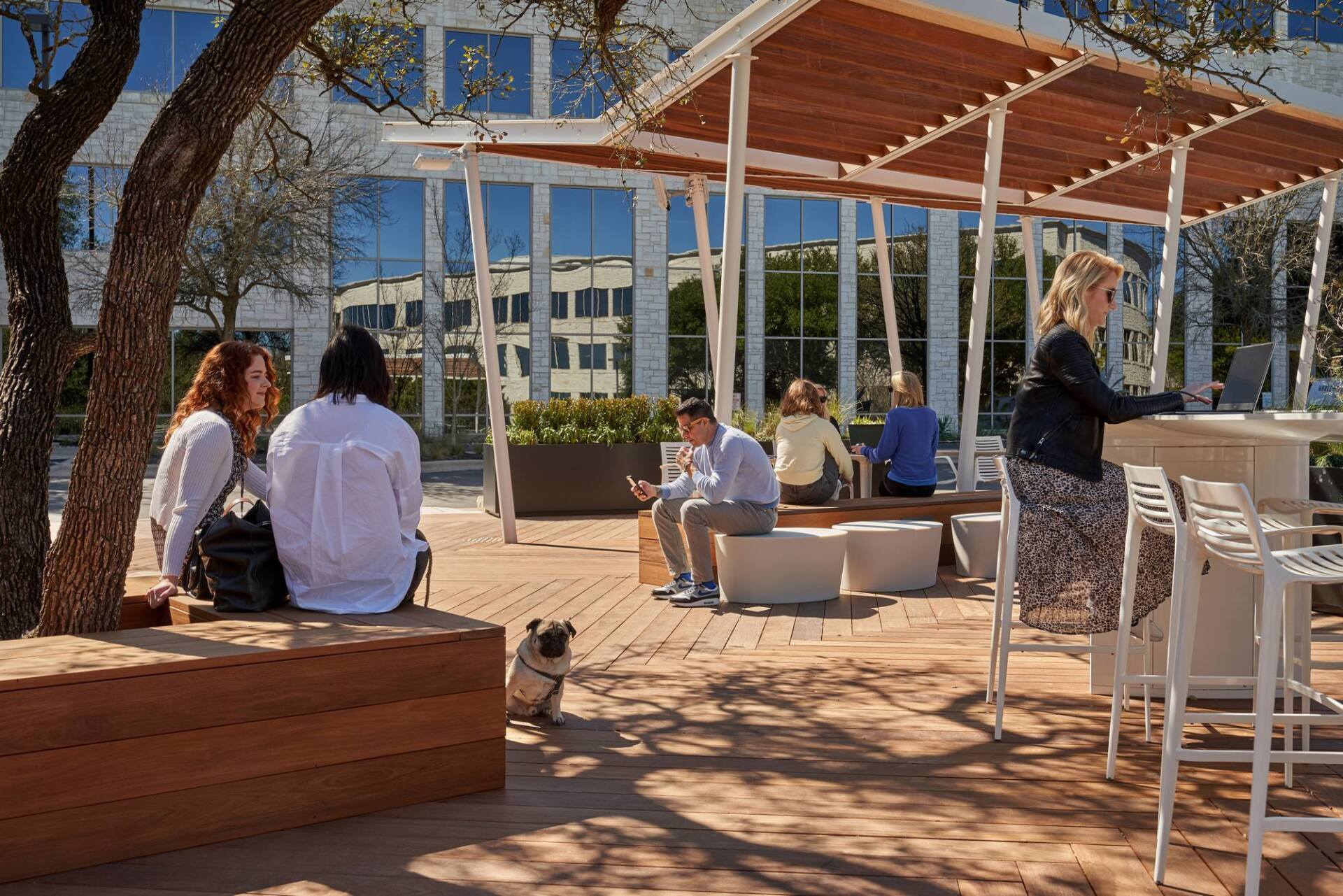 People relax under a pergola; some sit on benches or at a bar. A dog sits nearby. Sunny outdoor setting.