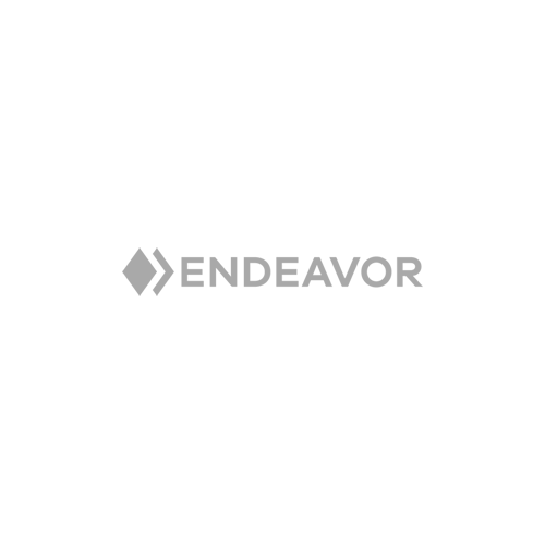 Grey Endeavor logo: diamond with arrow pointing right, text 