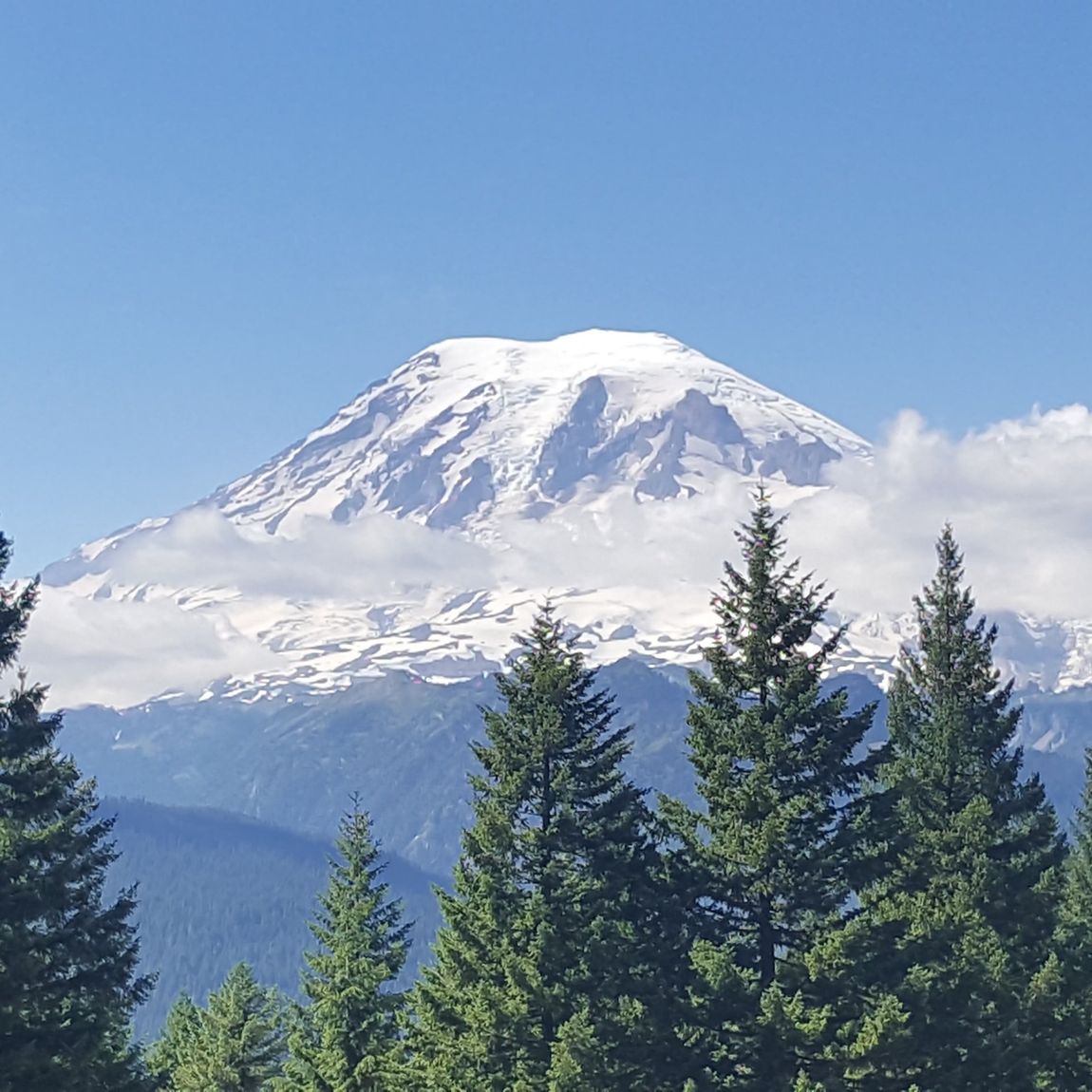 A mountain covered in snow is surrounded by trees