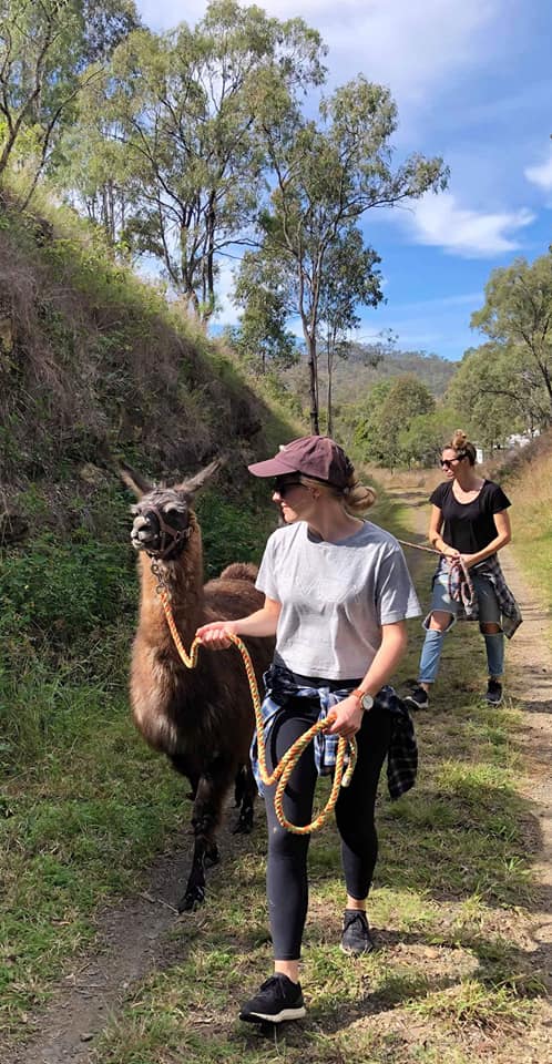 trail with Llama