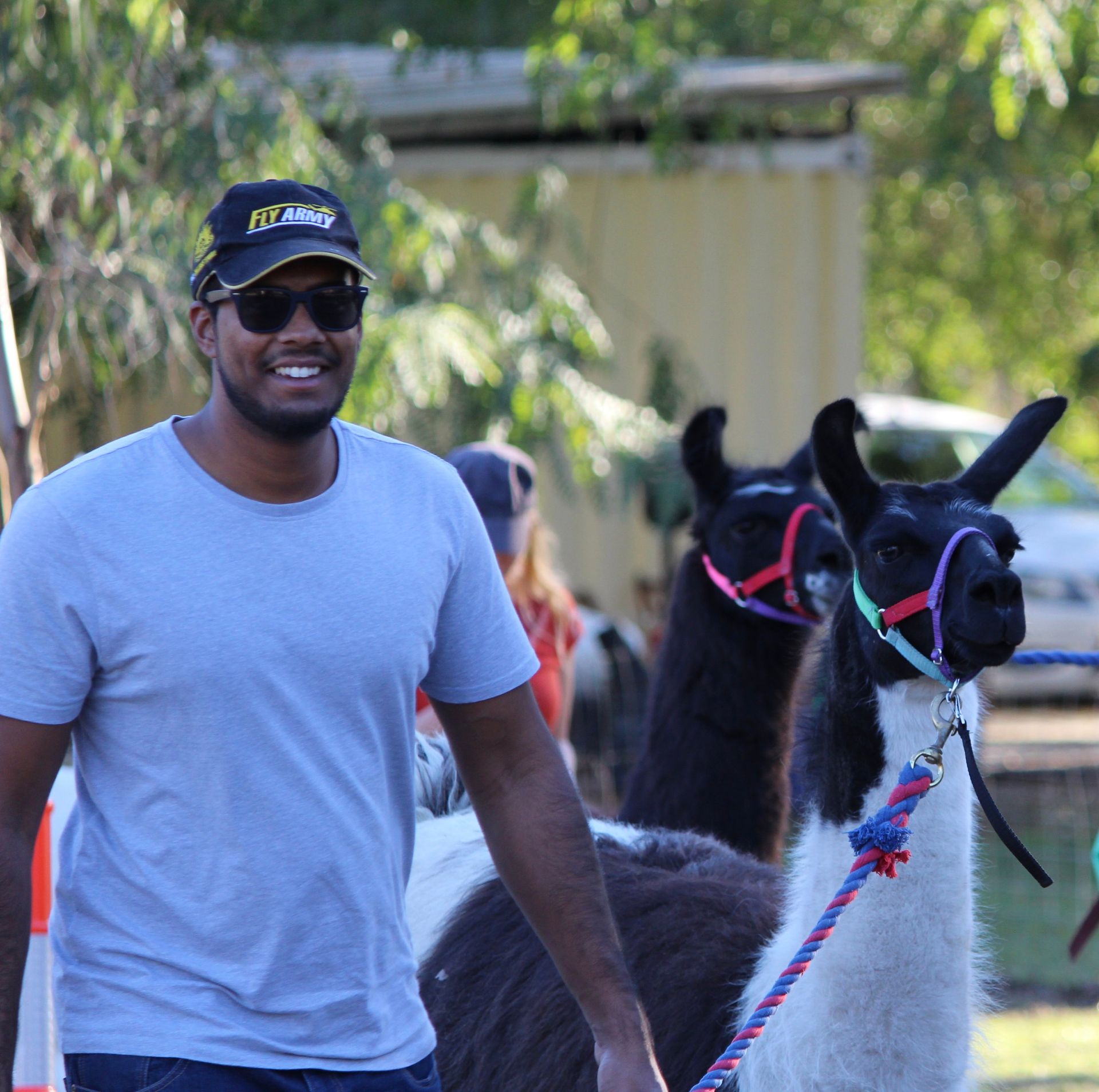 walking with a Llama