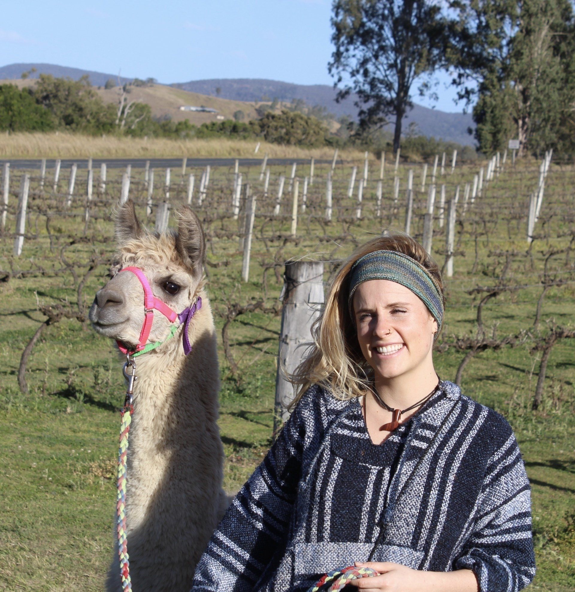 Llama and the girl