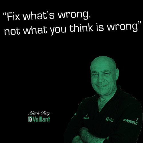 Guesswork is expensive! Mark Ray Boiler Engineer